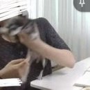 해조잡탕 네이버블로그