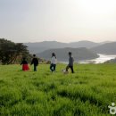 아침농장임실 이미지