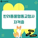 반려동물행동교정사 이미지