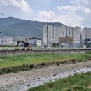 논공금포시장 이미지