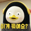 카이로바른척추교정 이미지