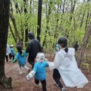 4월 4주, 5월 1, 2주 - 서하마, 런던마라톤, 10k PB, 봄, FOREVER YOUNG, 운탄고도 스카이레이스