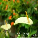 여미지식물원 이미지