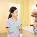 꿈꾸는동물병원 이미지