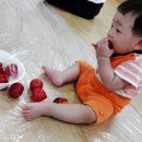 대저유치원 이미지