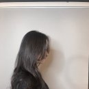 살롱드포레 - 용인시 수지구 | 살롱드포레