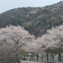 황룡닭집