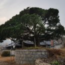 내가면사무소 이미지