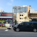 들꽃약국 | [Wedding-34] 제주도 웨딩촬영 기사포함 차량 대여 무조건 꼭 해야하는 이유