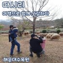 부산 테마여행 추천 따시리 여행으로 오감하다 찐후기