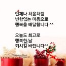 소울화인