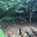 구암동281 이미지