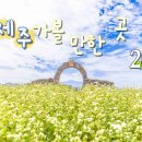 한국MBTI연구소주 이미지