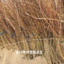 청운조경 이미지