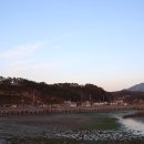 남산공원 오토캠핑장 이미지