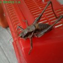 송보농장 이미지