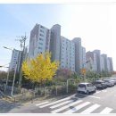 쿵구공원 이미지