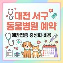엄마손동물병원 | 대전 서구 동물병원 예약 방법과 예방접종 비용 바로가기 (+중성화)