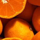 건이농장 이미지