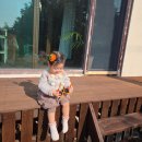 야자수하우스 | 아기랑 묵은 제주도 서귀포 야자수하우스 내돈내산 뷰맛집 감성 숙소 솔직후기