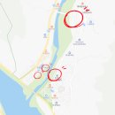 경남 하동 가볼만한곳 십리벚꽃길 애견동반 혼례길 벚꽃구경 주차정보