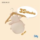 매직터치옥수 | 임신 35주차 일상 (주수보다 작은 아기무게 키우기, 막달 저체중 임산부 35주차 배크기, 검단아라...