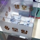 영산대학교 미용·예술대학원 이미지