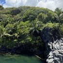 전원락농장 | 경험자가 알려주는 해외 캠핑 여행 일본 후지산부터 호주 아웃백까지