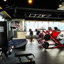 팀엑스핏 개봉 이미지