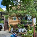 지리산장당계곡식당 이미지