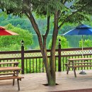 리버스케치 이미지