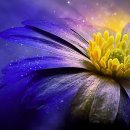 학익고등학교 이미지