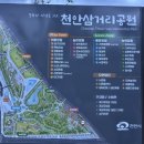 화랑유원지(호수주위 도로쪽) | 왓츠인마이블로그 기록3: 천안 삼거리 공원, 삼거리 공원 이용 꿀팁