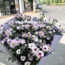 새경산꽃직판장 이미지