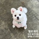 제이아이미용