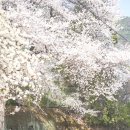 지암교 입구 네이버블로그