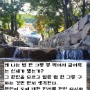 왜 굶어죽는 신세인가?/대원큰스님 이미지