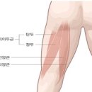 뉴핏 이미지