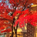 햇빛고운한의원 이미지