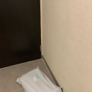 온사랑펫 | 시원하게 보냈으면 하는 개엄마 마음담긴 사랑이 포미온 펫 매트 사용 후기 ( + 10살 시츄 노견여름 나기)