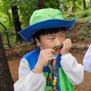 동화나라숲 어린이집 이미지