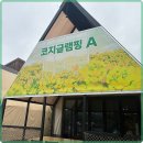 힐포인트 | 반려견과 함께하는 힐포인트키친 글램핑 체험 후기