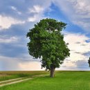 연세쉬즈산부인과의원 이미지