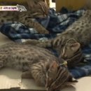 김명석농장 이미지