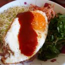 팜디 Daum카페