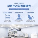 동암동물병원 이미지