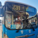 한라산둘레길 사려니숲길 | 한라산 둘레길 사려니숲길 삼나무 스팟 제주터미널 출발