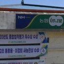 서춘천농협하나로마트 이미지