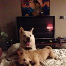 무지개민박 이미지