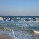 안목있는춘향A | 강릉 당일치기 여행 코스 추천 순두부젤라또 툇마루커피 아르떼뮤지엄 안목해변 뚜벅이도 OK